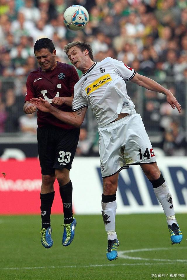 张斯洋参加 张斯洋参加